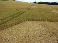 Cley Hill, Wiltshire crop circle, aerial photo 58